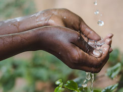 Water Filter Projects